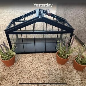 Hearth & Hand Black Glass Greenhouse Terrarium with Wood Handle
